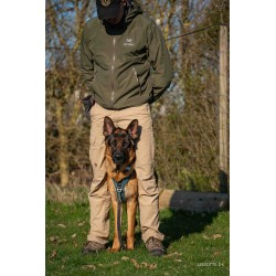 Hvalpehold 2